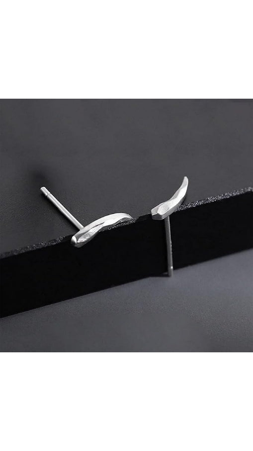 New Fancy Ear Studs for men's and women both