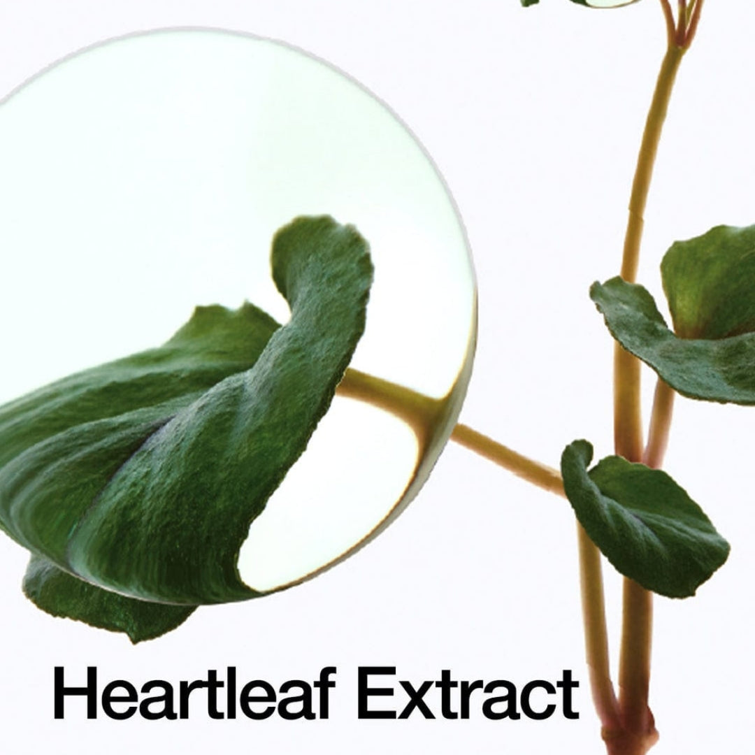 Anua Heartleaf 70% Daily Lotion 200 ml