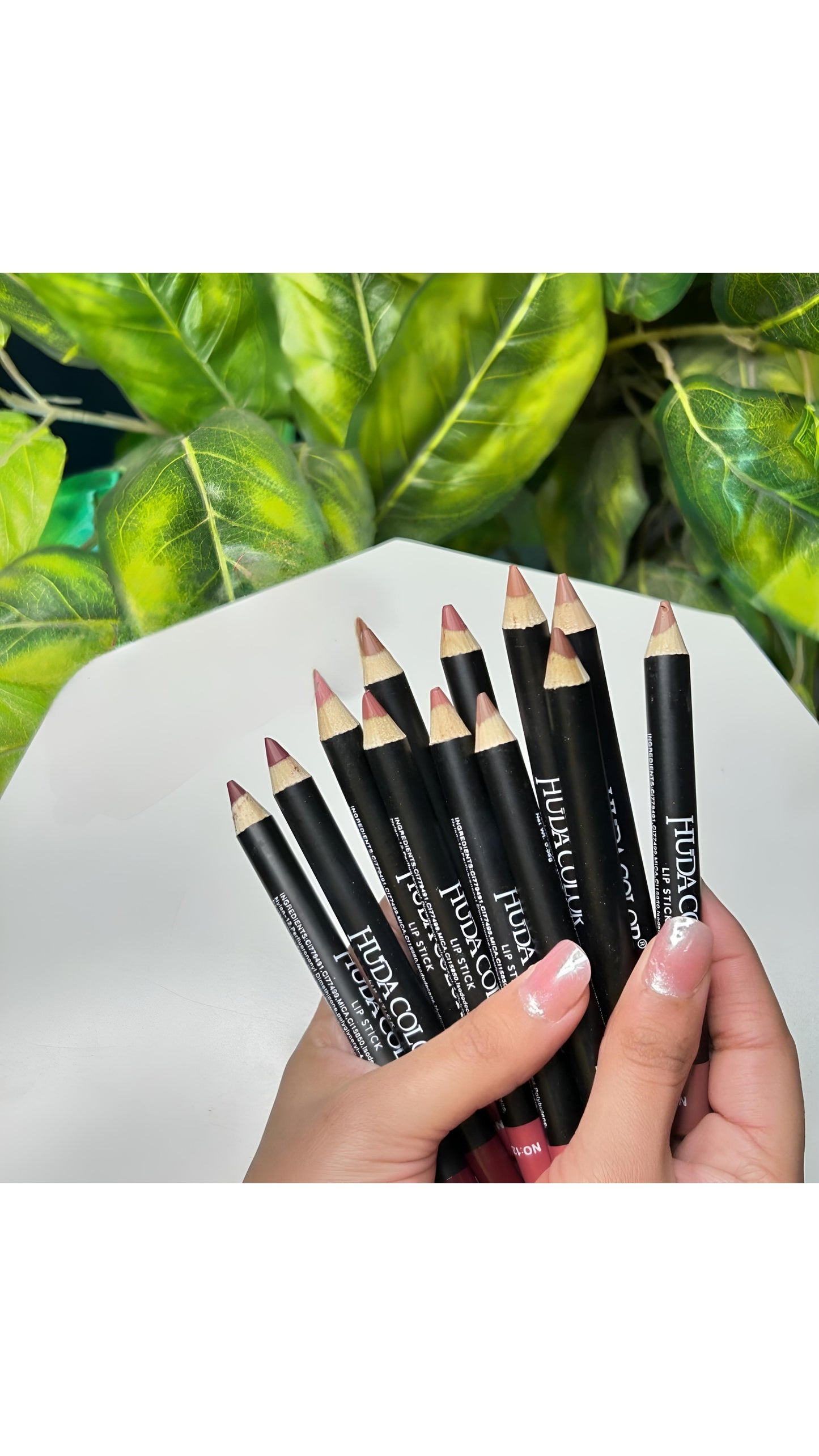 Huda Color Nude Lip Liner Set of 12 Waterproof & Smudge Proof | Long-lasting Lip Liner | Matte Finish Lip Pencil | Non-drying Formula